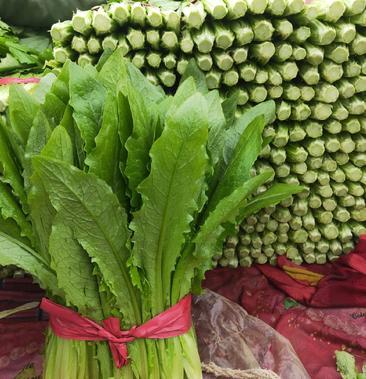 [批发]代购代销各种精品疏菜价格2.00元/斤 - 一亩田